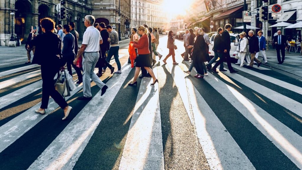 What are demographics?