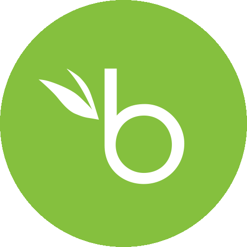 BambooHR