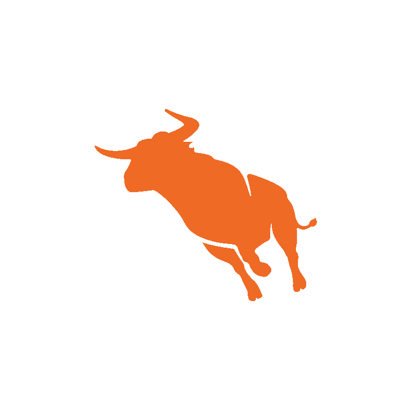 Bullhorn